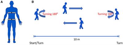 Wearable sensor devices can automatically identify the ON-OFF status of patients with Parkinson's disease through an interpretable machine learning model